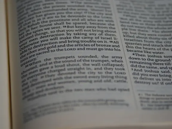 هيججو كازينو الدعم